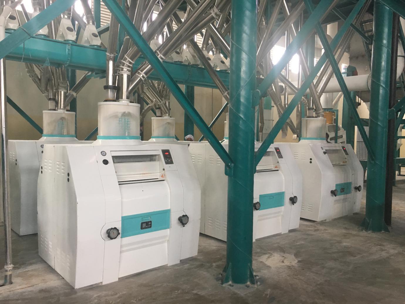 36t/24h wheat flour mill machine