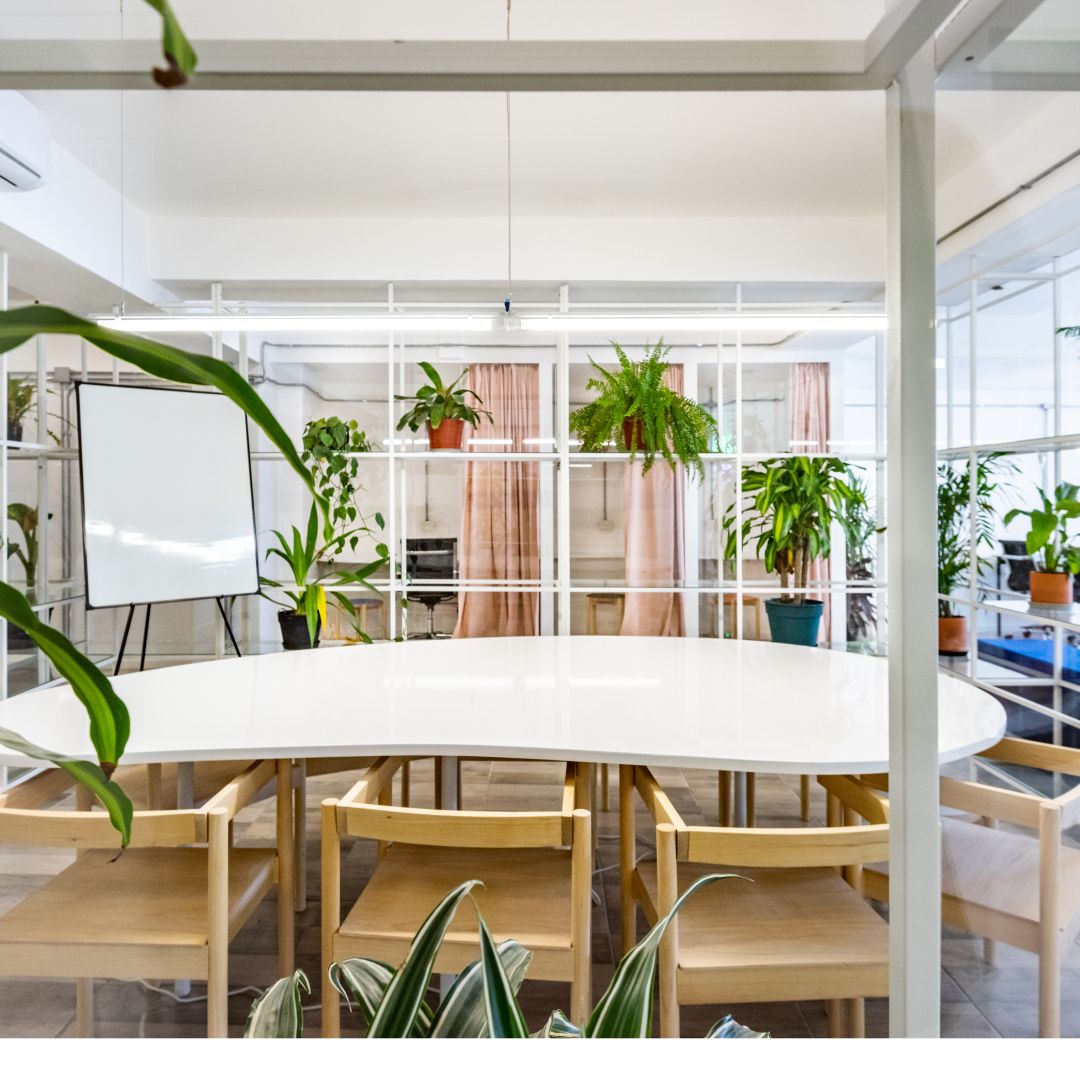 picture of a meeting room wiht lots of plants