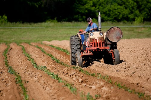 Future of agriculture 