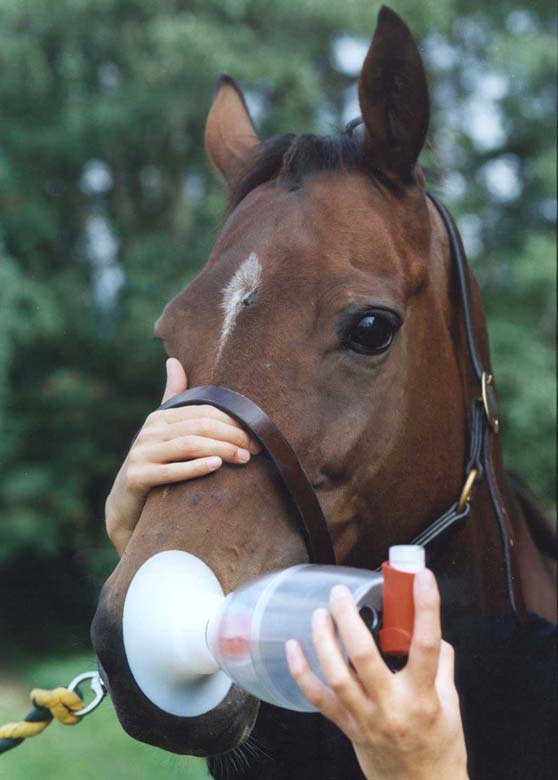 Device designed for metered-dose administration in the horse.