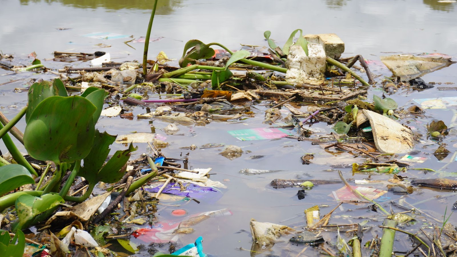 Sampah di Sungai Citarum Jawa Barat (Aviaska Wienda Saraswati / Greeneration Foundation)