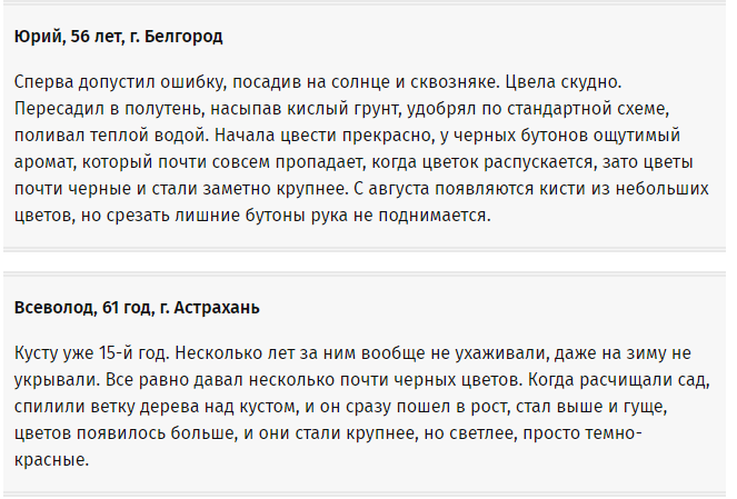 Отзывы и рекомендации садоводов