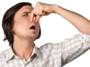 odor