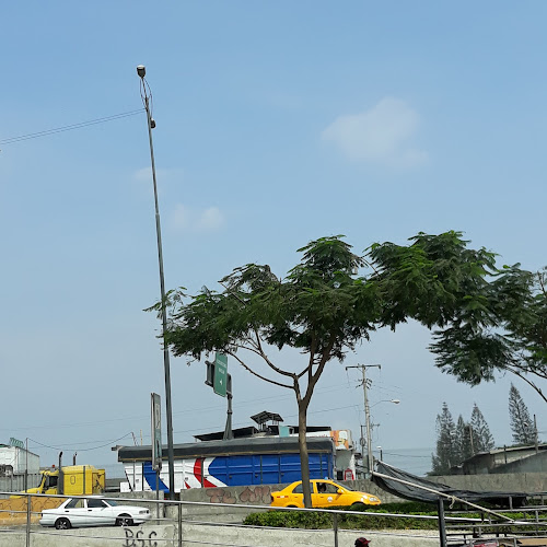 Pension el fortin
