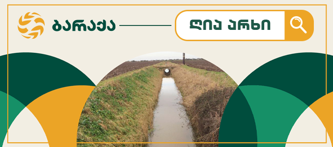The role of drainage systems in nut fertility