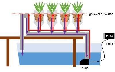 C:\Users\Apurbo\Desktop\Ebb-and-flow-hydroponics-system.png