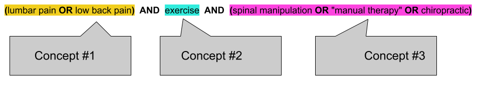 (lumbar pain OR low back pain)  AND  exercise  AND  (spinal manipulation OR "manual therapy" OR chiropractic)