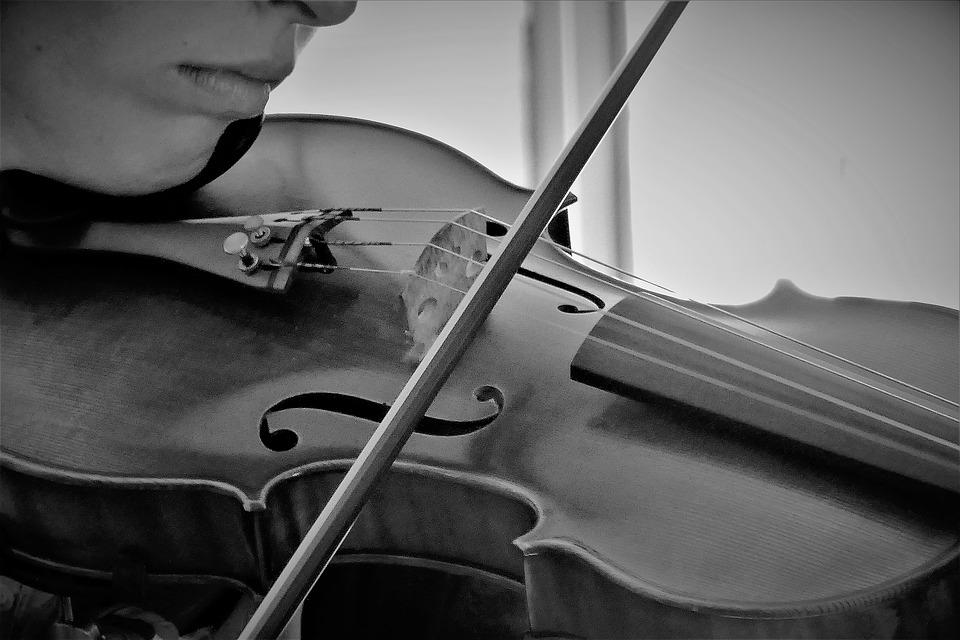 Violin, Musical Instrument, Music, Instrument, Classic