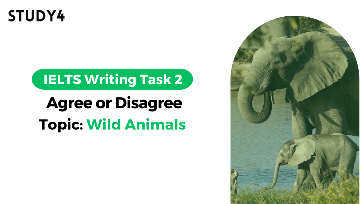 bài mẫu writing Some people say that too much attention and too many resources are given to the protection of wild animals and birds. Do you agree or disagree with this opinion?