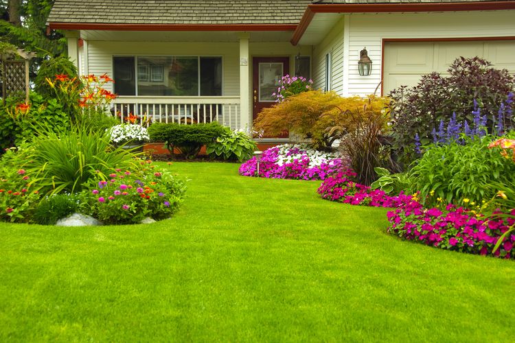 How To Landscape Your Home Exterior