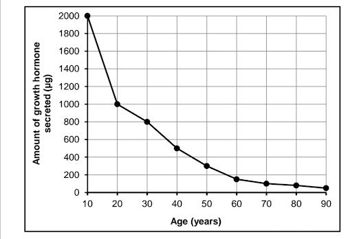 The graph above shows the relationship between the production of  growth hormone and age