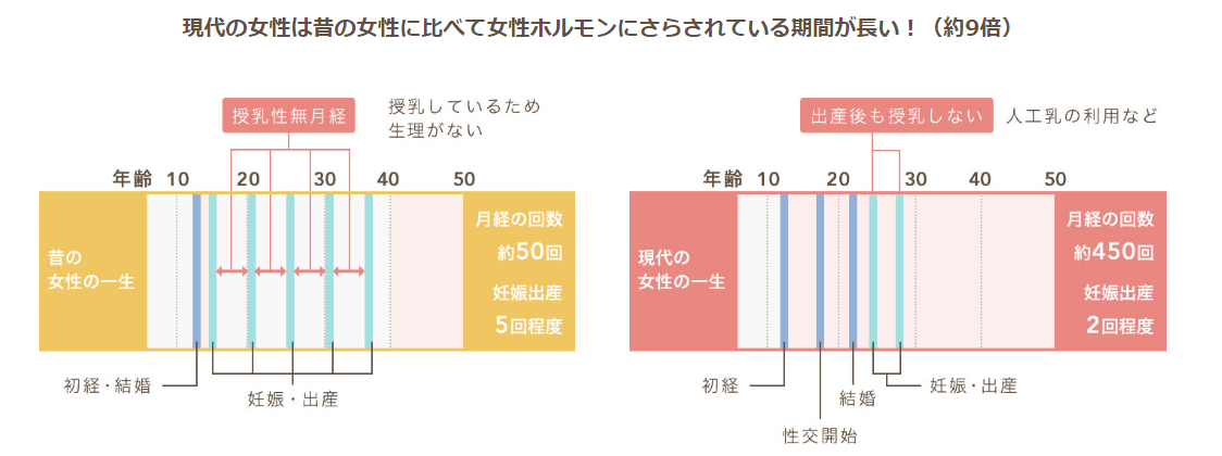 女性ホルモン　期間　グラフ　女性