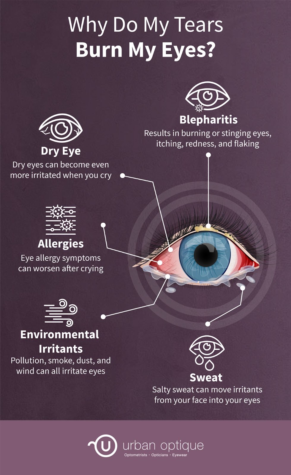 An infographic demonstrating all the possible causes of burning sensation in the eye.