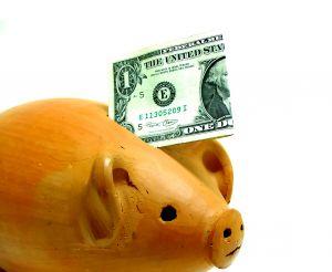Piggy Bank - Dollar