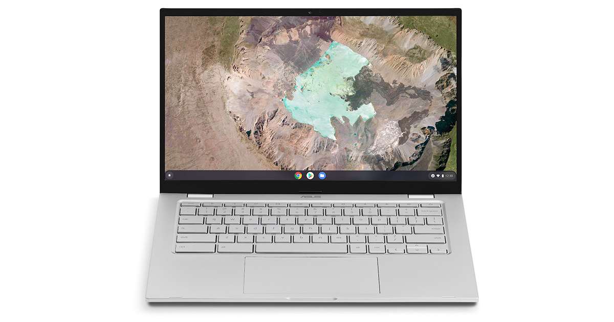 ASUS Chromebook C425 Clamshell Laptop_terraify