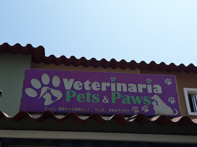 Veterinaria Pets & Paws