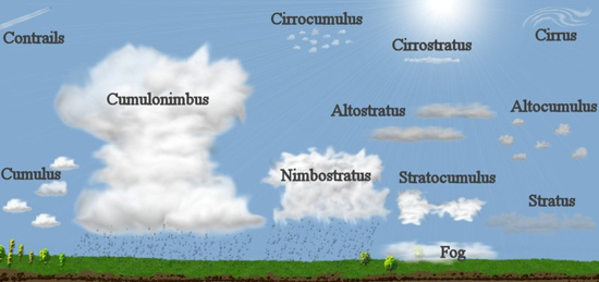 Types of clouds, including contrails, cumulus, cumulonimbus, cirrocumulus, nimbostratus, altostratus, cirrostratus, stratocumulus, fog, cirrus, altocumulus, and stratus clouds