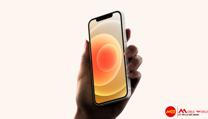 Chọn mặt gốm Galaxy S10+ hay kính ceramic shield iPhone 12?