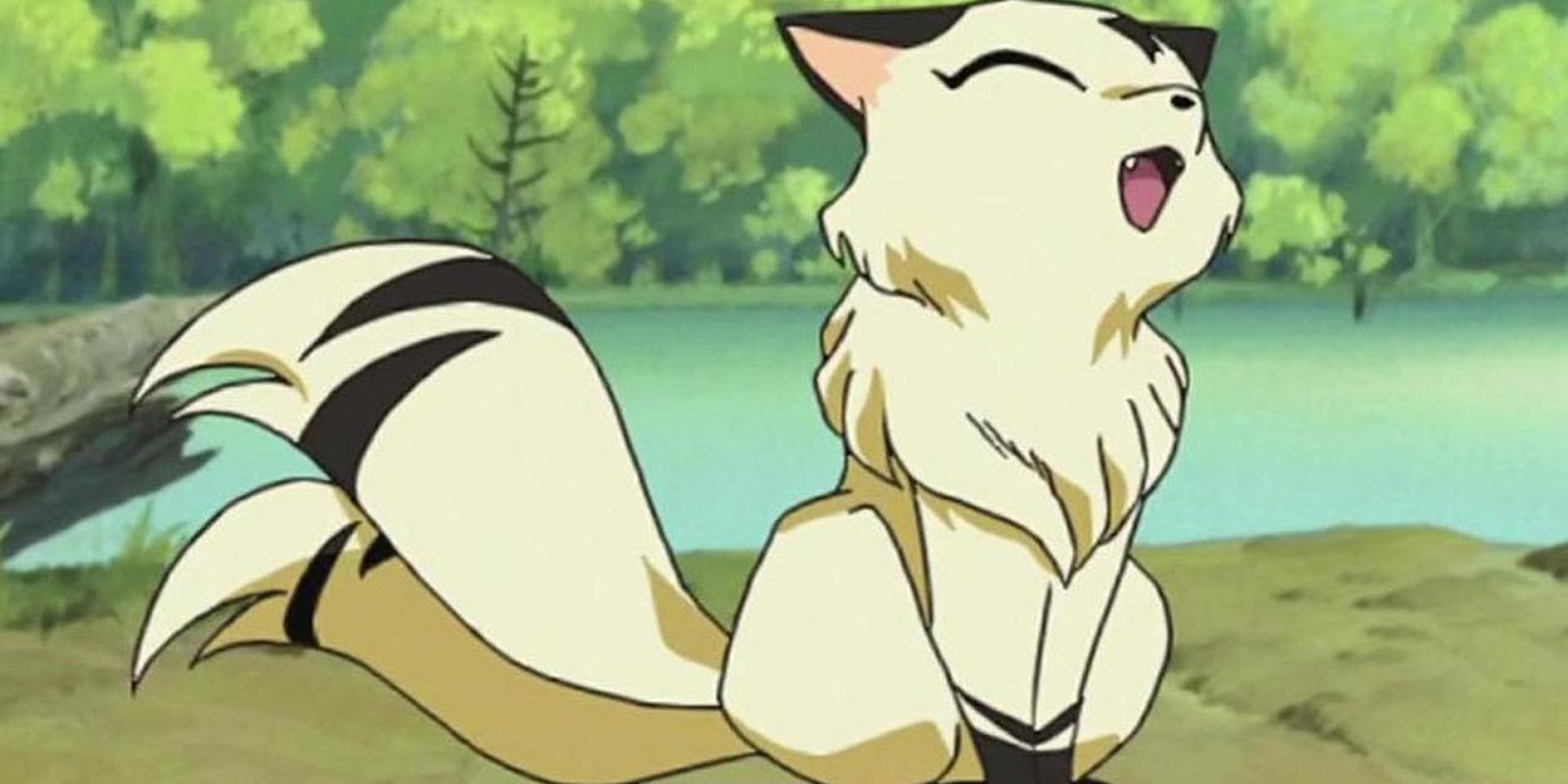 Kirara Anime animals