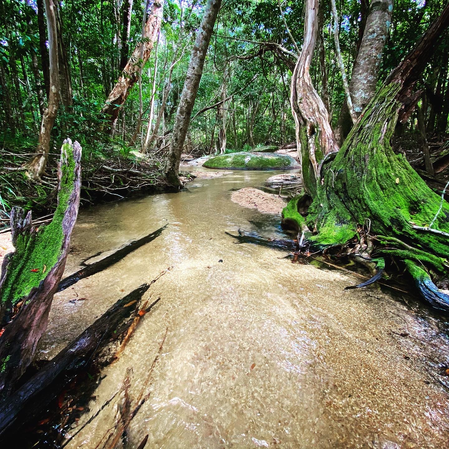Creek at Bunda Bibandji