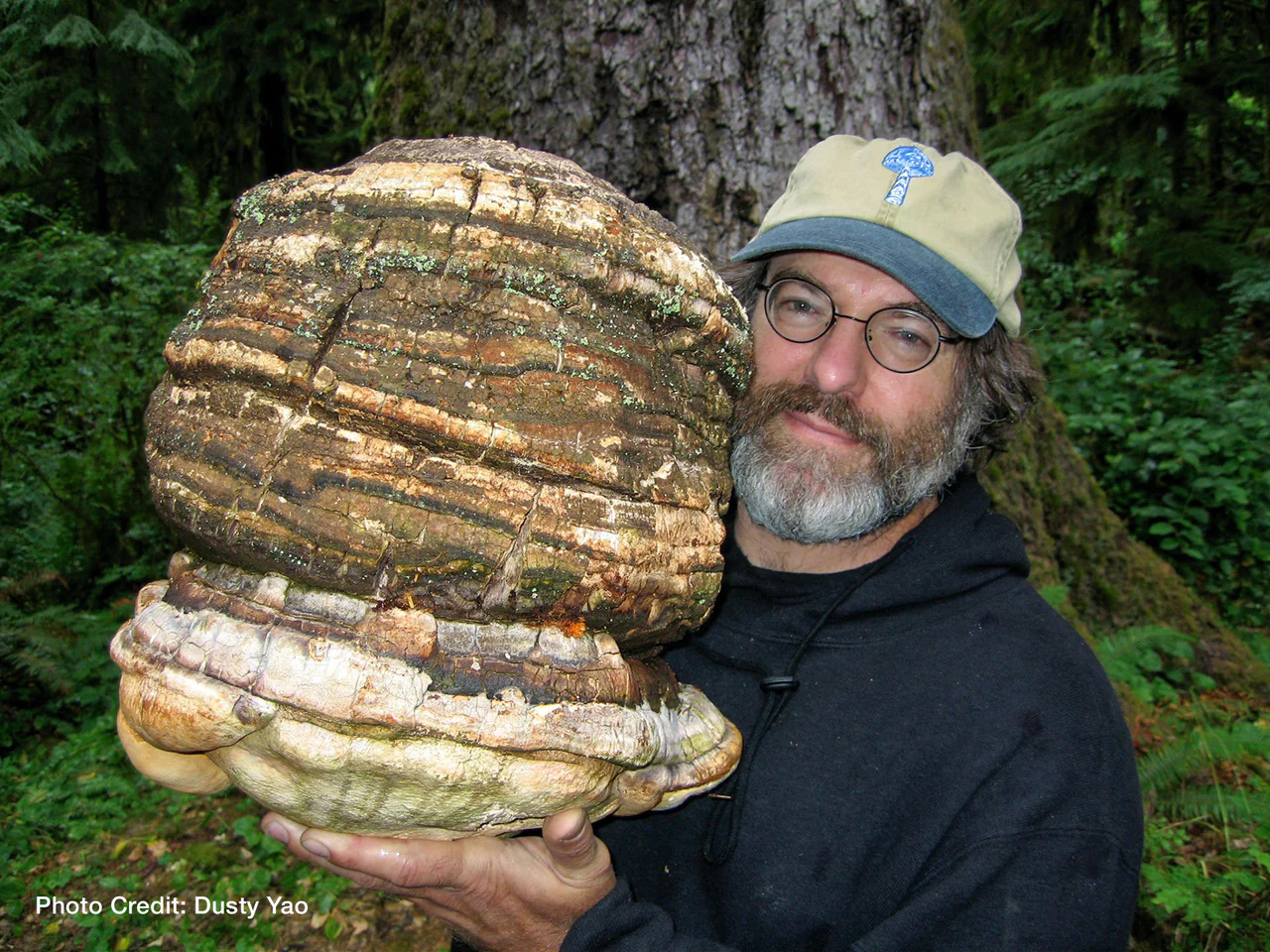 Paul Stamets holding an Agarikon mushroom 