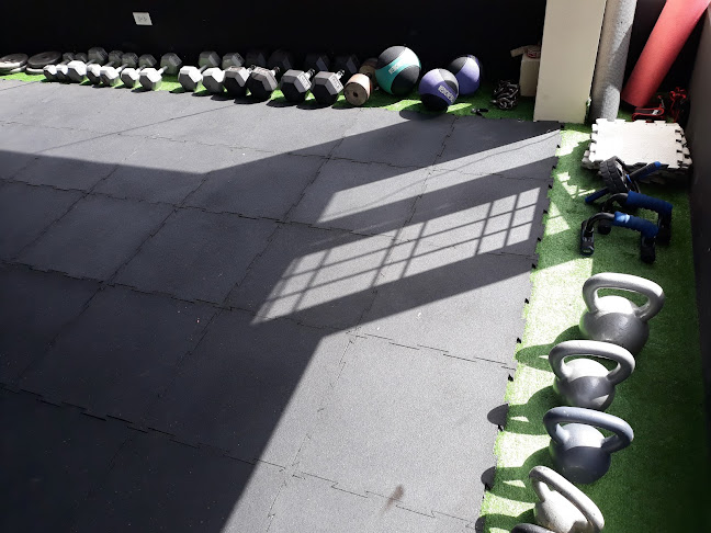Opiniones de Soldiers Fitness & Nutrition Club en Quito - Gimnasio