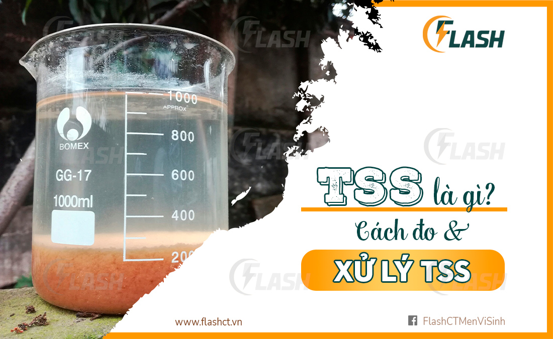 TSS là gì? Cách đo Tss và xử lý TSs nước thải
