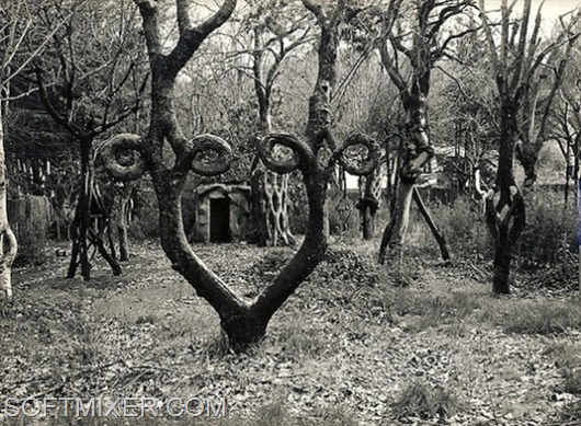Аксель Эрландсон, создатель «Tree Circus»