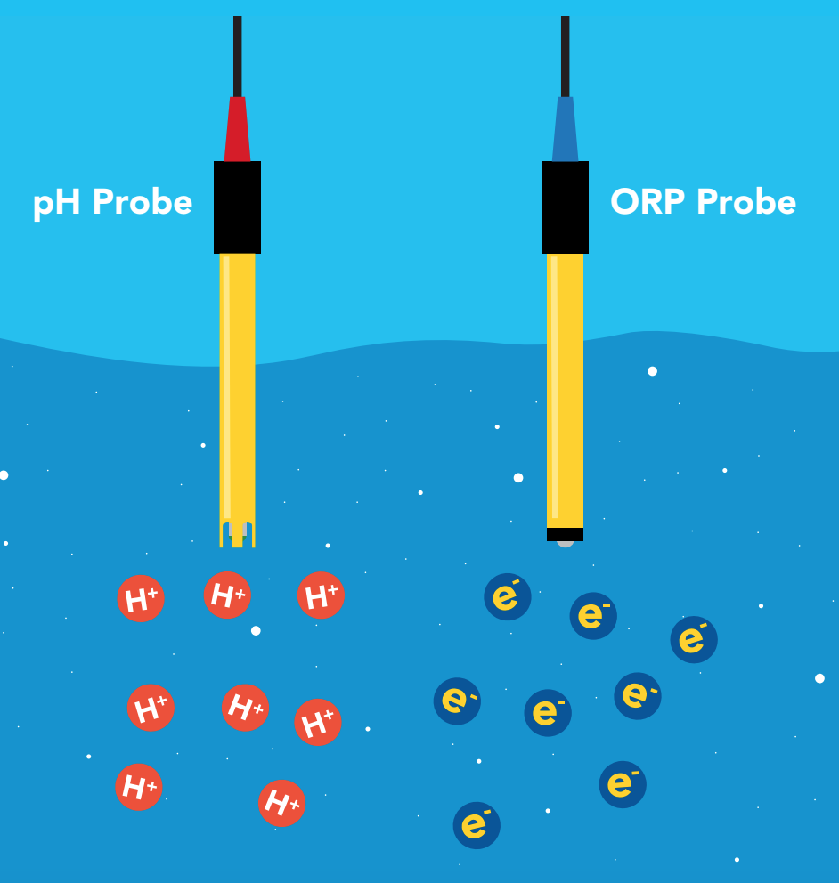 Monitor Water Quality Using Oxidation-Reduction Potential (ORP)  Measurements | Atlas Scientific