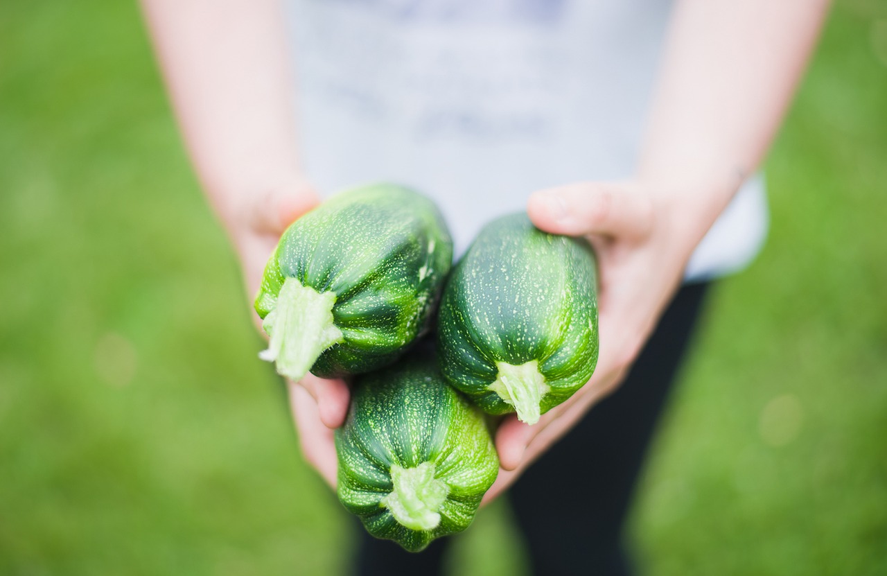 Young person holding zucchinis