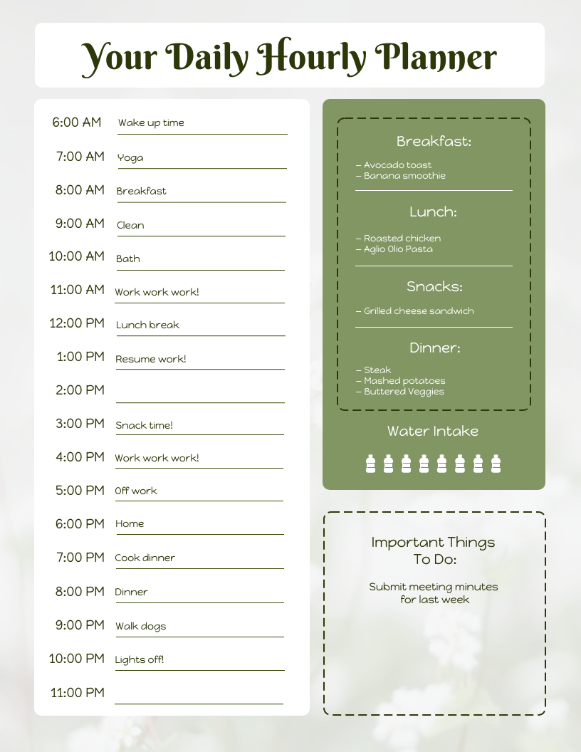 Daily Hourly Schedule Template