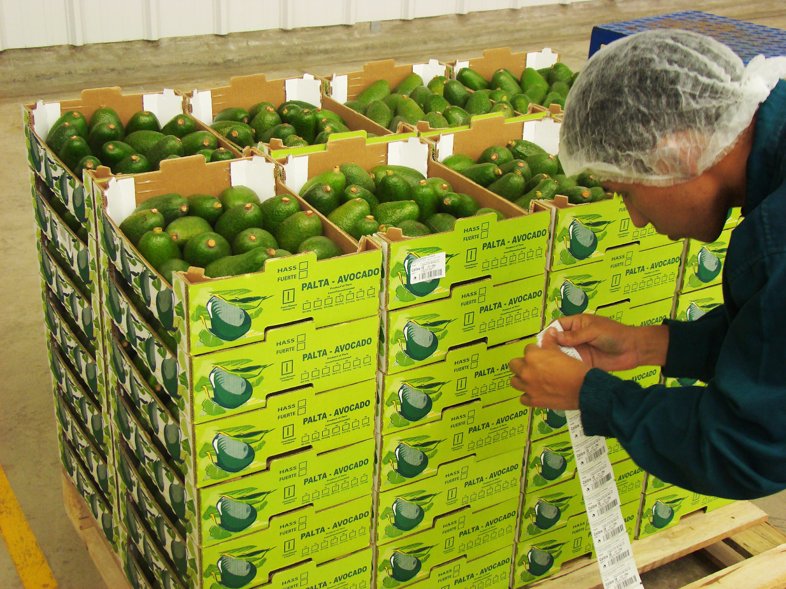 Nasco Express chia sẻ cách bảo quản trái cây tươi ngon giữ nguyên chất lượng