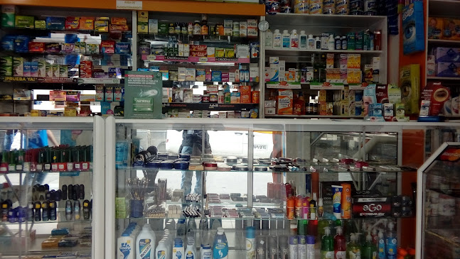 Farma Vital - Pasto