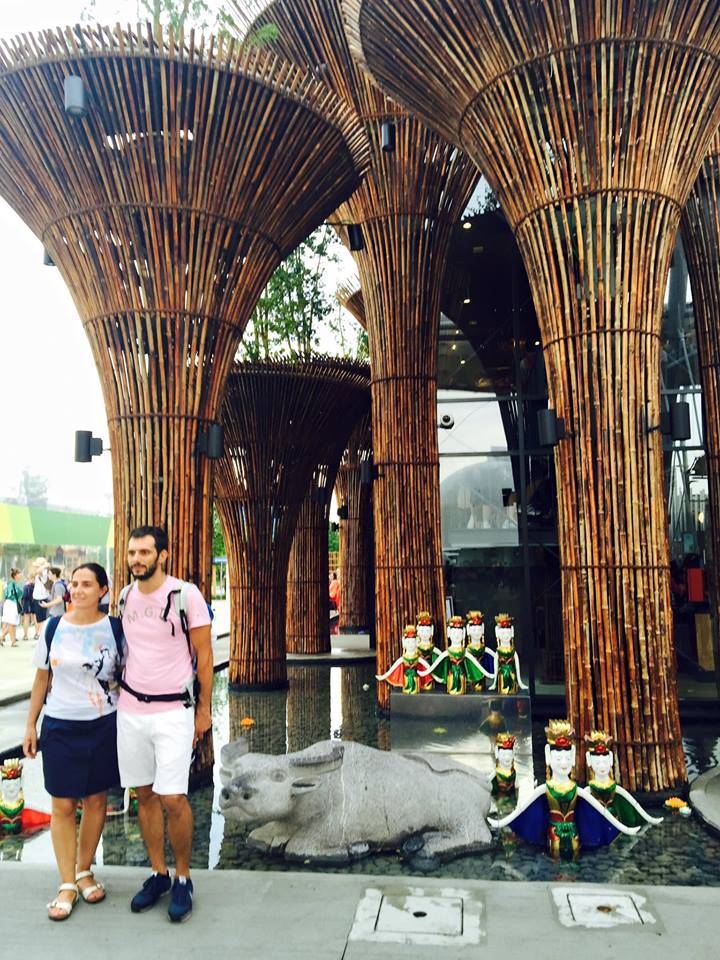 Đây là không gian "sen và nước" ở mặt tiền và xung quanh Vietnam Pavilion !!!