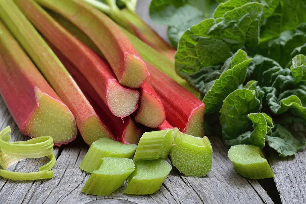 What does rhubarb look like