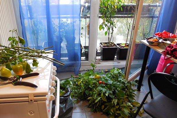 1O-a7sLXjfZK2yXyFT0yIMDE9j_V2eXtk_Ge_YJcG2I=w600-h401-no