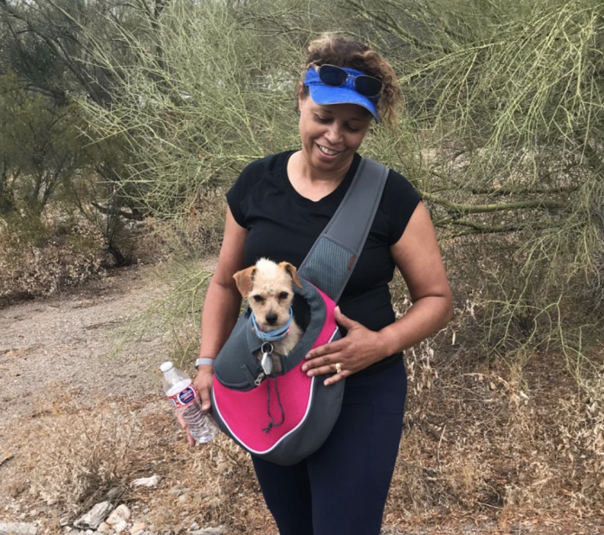 Person outdoors wearing a pink and gray dog sling with a small yellow dog in it.
