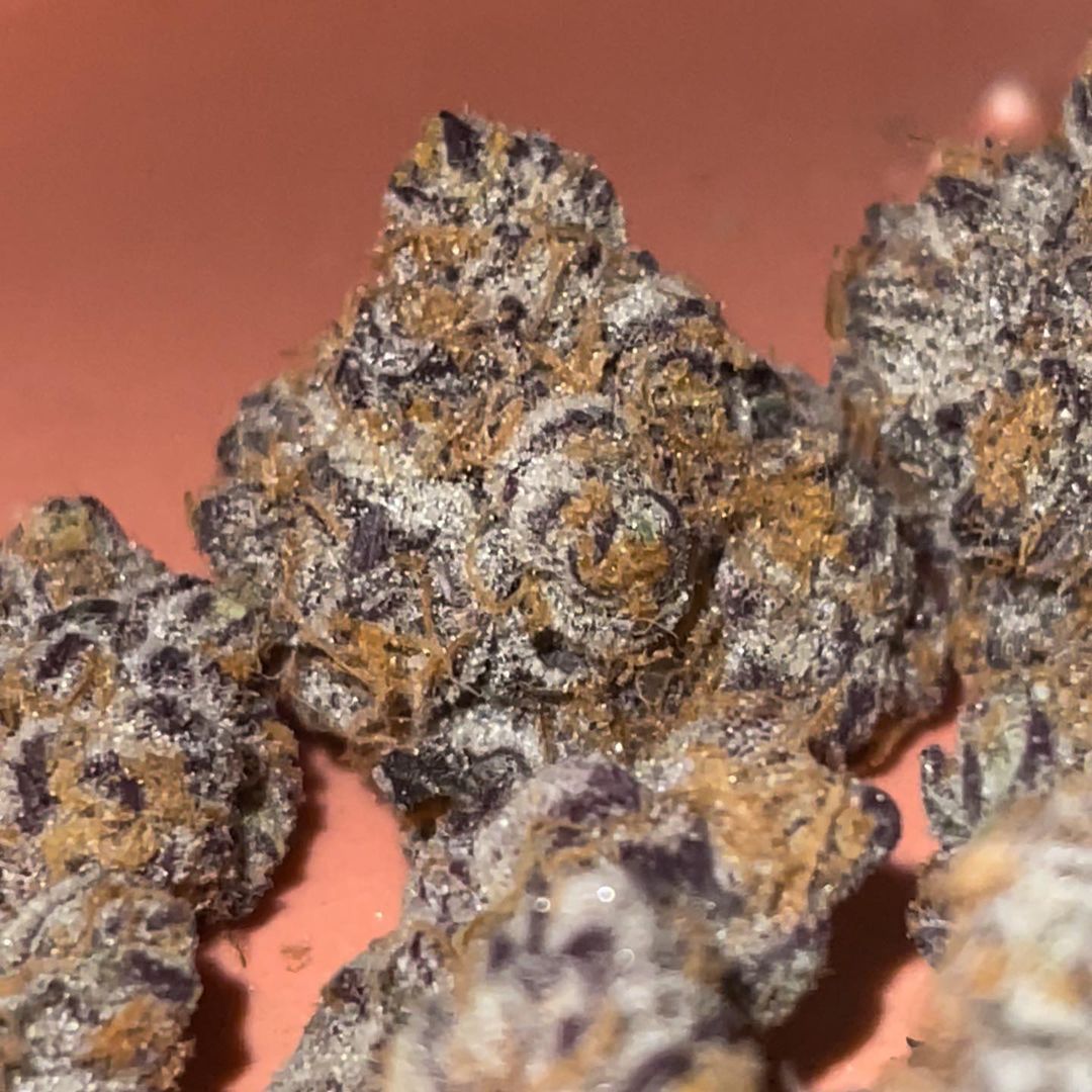 Scarborough Dispensary, Scarborough Dispensary: Platinum Grapes by Organnicraft Strain Review