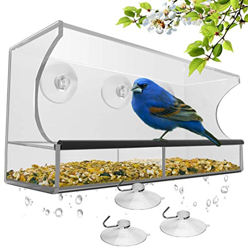 Comedero para pájaros Nature's Hangout Window
