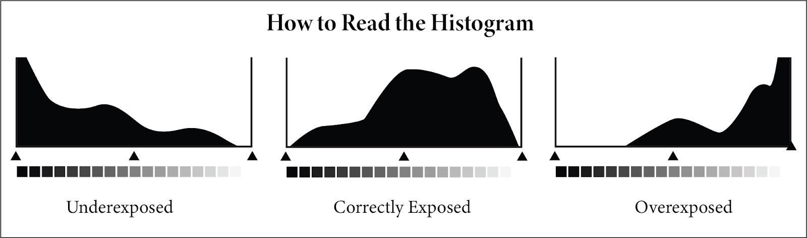 how to read a histogram