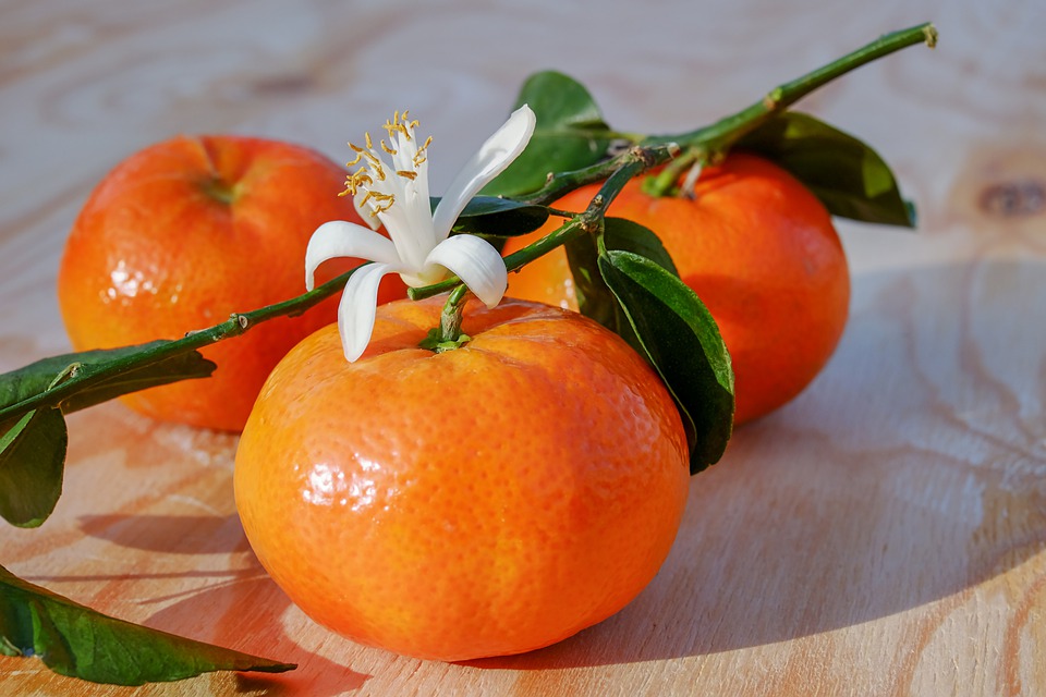 8 Different Types of Tangerines with Images Asian Recipe