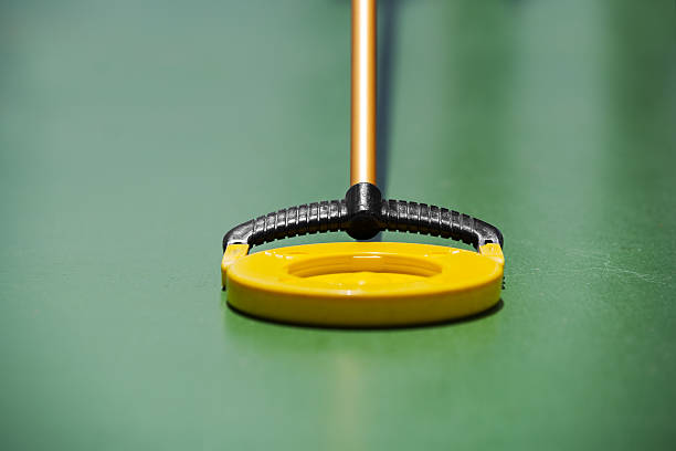 Shuffleboard Stick