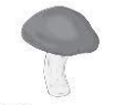 A gray mushroom with a white background

Description automatically generated