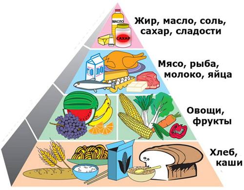 Правильное питание :: Государственное областное учреждение здравоохранения  «Центральная районная больница ЗАТО г.Североморск»