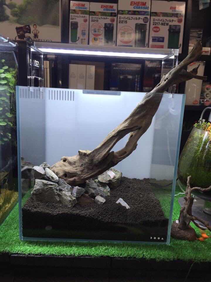 万天石 アクアリウム ADA 高い 親石 石組レイアウト 水槽 万天石 アクアリウム ADA 高い 親石 石組レイアウト 水槽