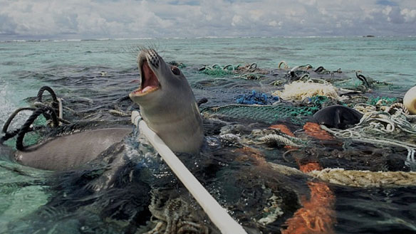 Image result for pollution