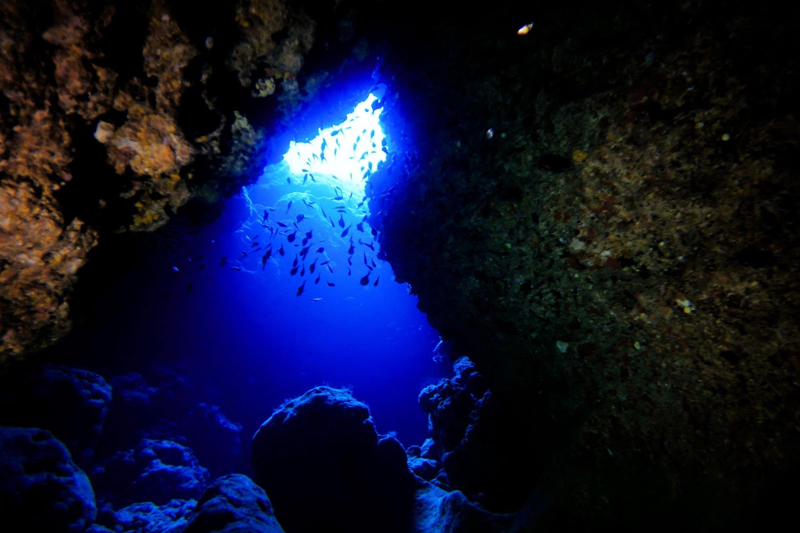 沖繩浮潛於洞內可看到水深達40米的青藍海水，以及海底反射而出的夢幻藍光。