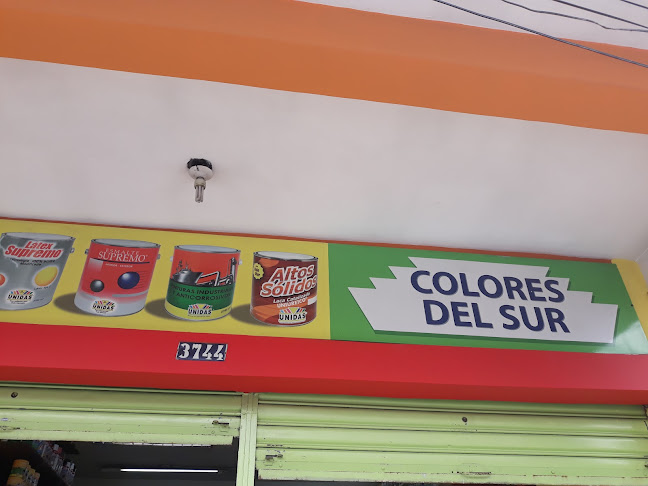 COLORES DEL SUR - Tienda de pinturas