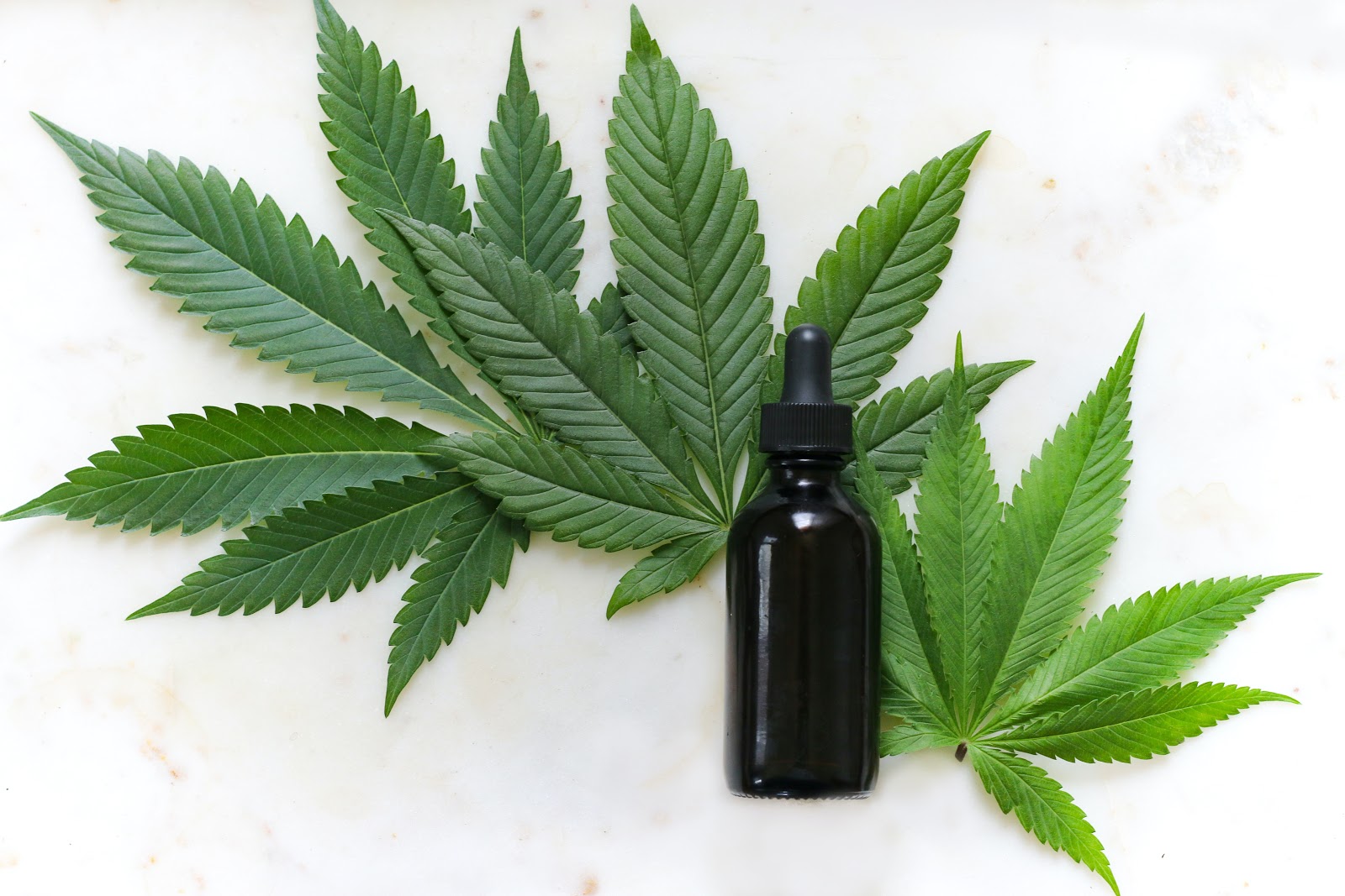 CBG vs. CBD. What is the Difference?