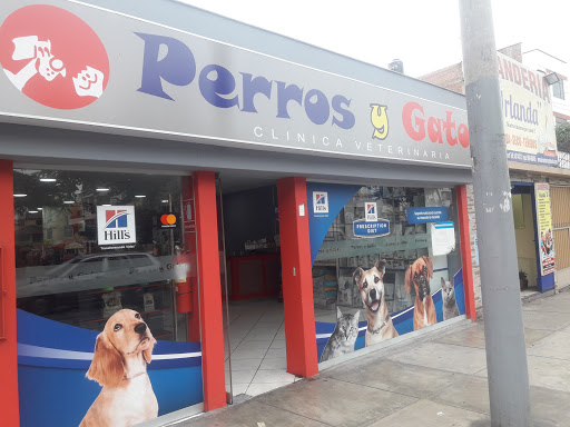 Clínica Veterinaria Perros Y Gatos